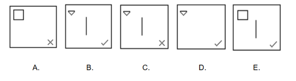 The Caliper Assessment Test - Prepterminal