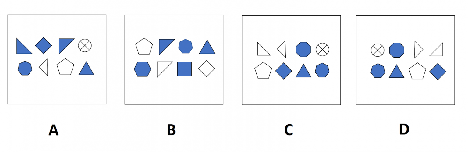 PI Cognitive Assessment - Practice Tests & Sample Questions