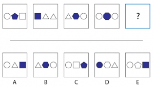 PI Cognitive Assessment - Practice Tests & Sample Questions